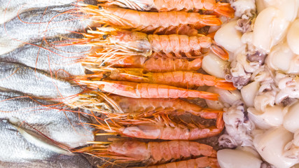 Close-up of meat of shrimp, salmon, herring. Fish meat texture