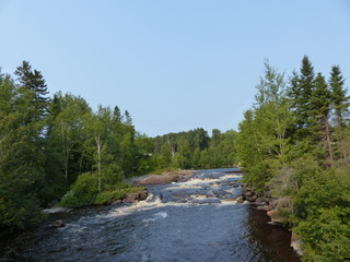 Fototapeta na wymiar rivière rapide au milieu de la forêt quebecoise