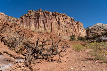 USA Capitol Reef National Park 