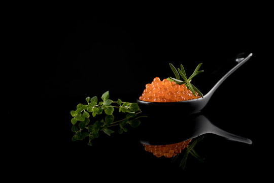 Caviar, Red Caviar in Appetizer Spoon with green dill garnish on reflecting table isolated on black background, copy space