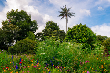 botanic gardens bogota