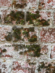 Fototapeta premium Very old brick wall Bungay Suffolk