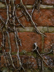 Obraz premium Very old brick wall Bungay Suffolk