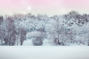 Beautiful winter landscape with snow covered trees .