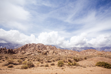 Desert landscape with mountains in the distance