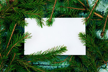 Christmas texture on a blue wooden background  surrounded by spruce branches. White form with a place for recording on branches.