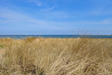 Düne, Strand in Glowe auf Rügen