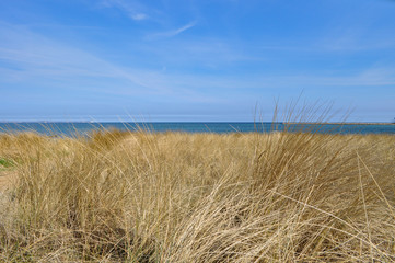 Düne, Strand in Glowe auf Rügen