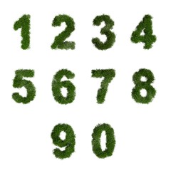 numbers made of green grass isolated on white