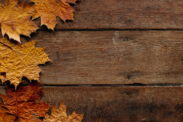 Autumn leaves on wooden background with copy space. Wallpaper for September 1.