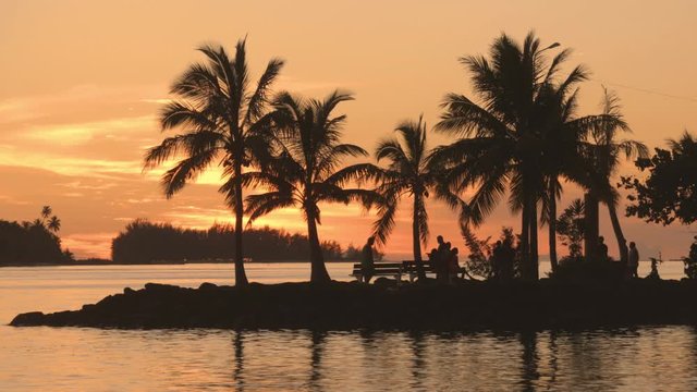 Bora Bora French Polynesia South Pacific Island Sunset with palm trees and people outside at night enjoying beautiful nature in idylic tropical paradise.