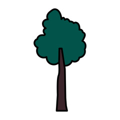 tree botanical nature foliage icon