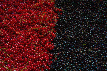 Black and red currant berries food nature healthy eat background