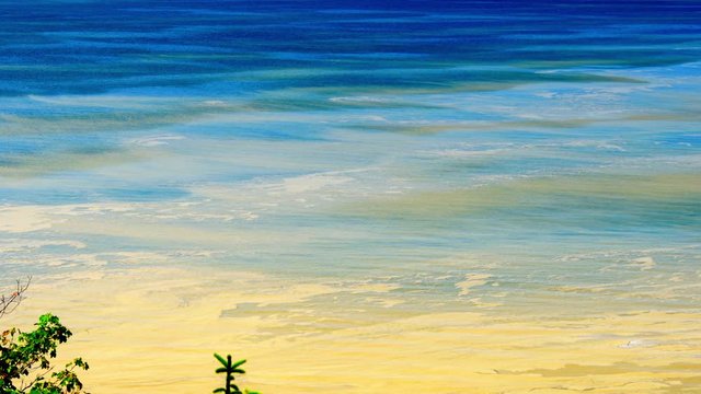 Toxic Cyanobacteria Bloom On Ocean Surface