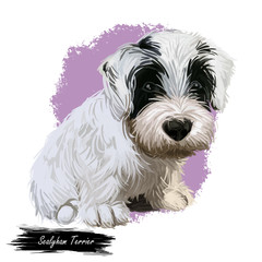 Sealyham Terrier toy god, pet of small size watercolor portrait digital art. Hand drawn domestic animal with long haired coat canine purebred with opened mouth, toy breed small sized muzzle.