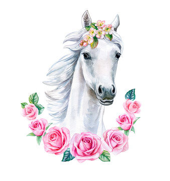 Head of a white horse with pink flowers. cute watercolor clipart. Trendy cartoon horse. Template. Close-up. Clip art. Hand drawn. Template. Hand painted