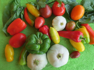 Close-up of vegetables: white squash, yellow, red, orange tomatoes, peppers, visible green spinach leaves