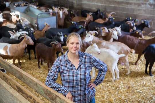 Successful woman farmer in the goat house
