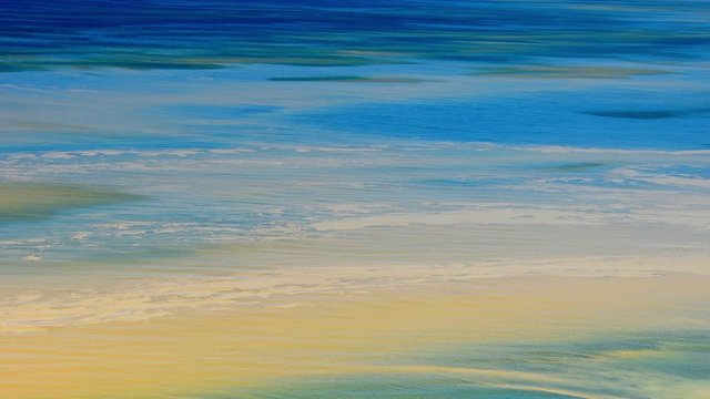Toxic Cyanobacteria Bloom On Ocean Surface