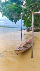 Praia deserta na Amazônia. Céu azul