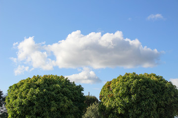 Obraz premium clouds with blue sky in the background