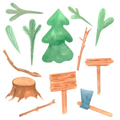 watercolor illustration forest, tree, stump, branches