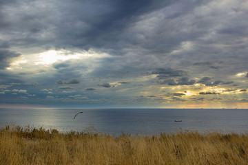 calm landscape sea merging on the horizon with cloudy sky