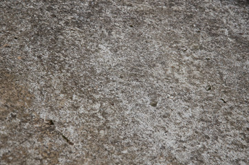 background of old concrete texture
