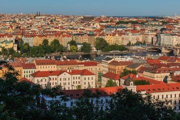 Fototapeta na wymiar View over the roofs and historical buildings of Prague the capital of the Czech Republic on a sunny day with blues sky and bushes in the foreground