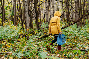 Mushroom pickers in the forest in autumn. Atmospheric day in the forest. Picking autumn mushrooms