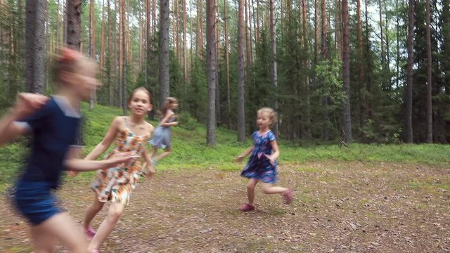 Four little girls having fun running around in the summer forest enjoying summer holidays