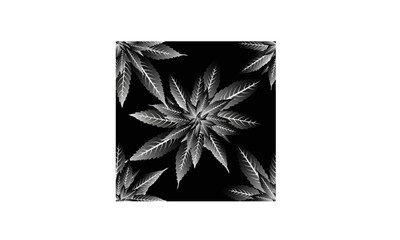 Vector cannabis seamless black pattern