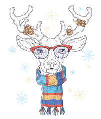 Hand drawn portrait of deer in Christmas accessories Vector.