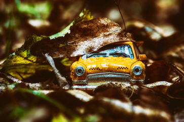 The yellow taxi car is covered in autumn foliage and a drop of rain. Artistic photo of rainy...