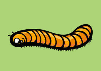 Centopéia laranja listrada