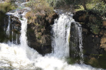 AFRIQUE