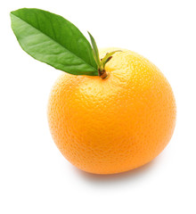 Ripe orange on white background