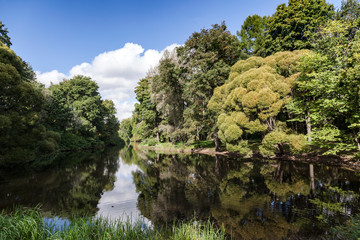 lake in the forest