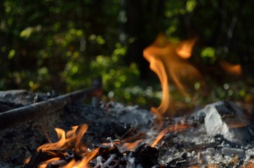Bonfire, coal and stones in the forest.