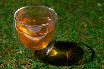 Glass of green tea with lemon and ginger  on the green moss background close up