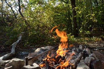 Bonfire, coal and stones in the forest.