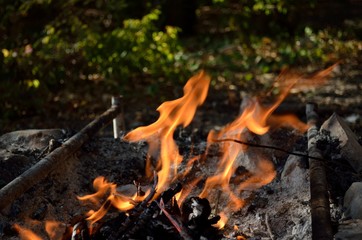 Bonfire, coal and stones in the forest.