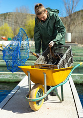 Woman catching sturgeon with landing net
