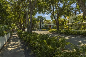 Beautiful view of town street landscape. White buildings between green trees on blue sky background. Key West. Florida. USA. 
