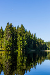 Fototapeta na wymiar See vor wunderschöner Waldlandschaft. Lake at beautiful forest landscape.