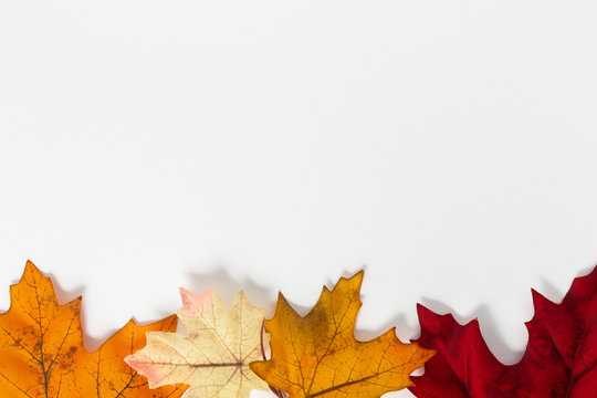 Autumn Leaves Border on a white background