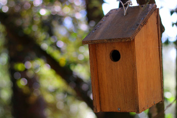 Wooden birdhouse hung in a tree in the middle of the forest.