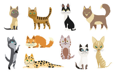 Set of cute cartoon kitties or cats with different colored fur and markings standing sitting or walking vector illustrations.