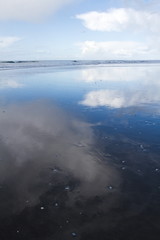 Obraz premium Coastline of \new Zealand, showing the reflection of sun and clouds in the water and sand. 