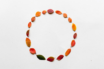 Autumn leaves circle ornament, autumn concept 